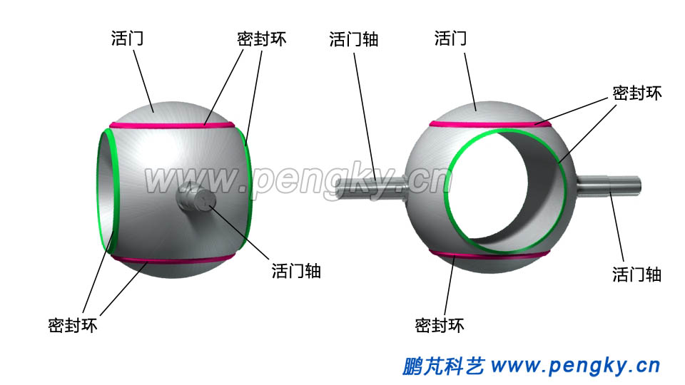 球閥的活門