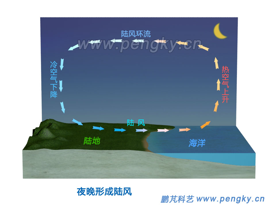 陸風(fēng)形成示意圖