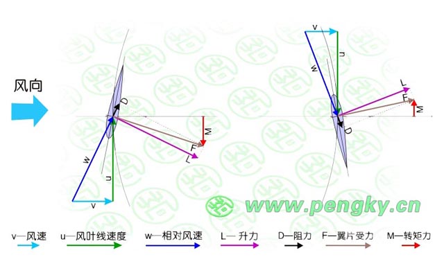 葉片在向風(fēng)側(cè)與背風(fēng)側(cè)的受力狀況