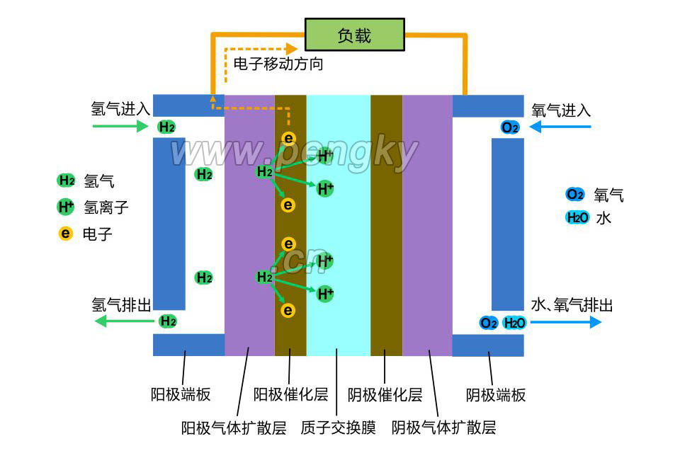PEMFC陽極側電化學反應 燃料電池(PEMFC)陽極側電化學反應
