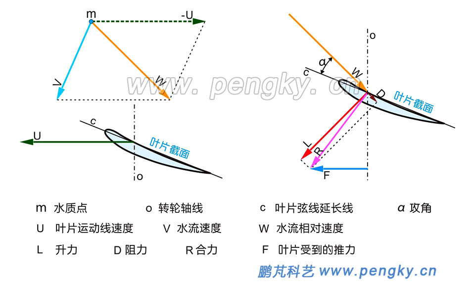葉片受水流作用力圖