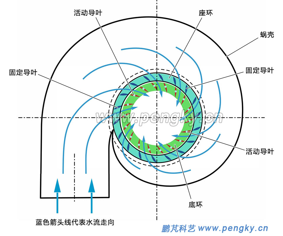 固定導(dǎo)葉與活動(dòng)導(dǎo)葉示意圖 